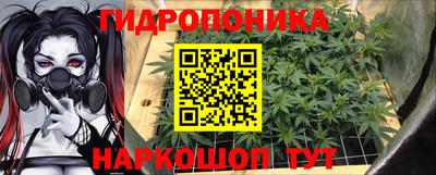 ешки Вышний Волочёк