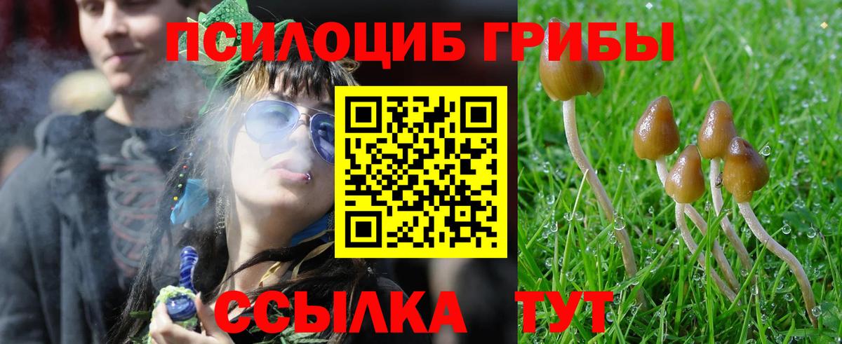 даркнет сайт  Вход с VPN  Россошь  Галлюциногенные грибы мухоморы 