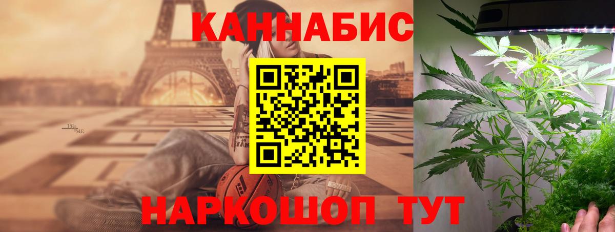 Конопля гибрид Россошь